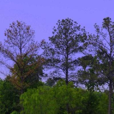 Kaiyun手机app下载