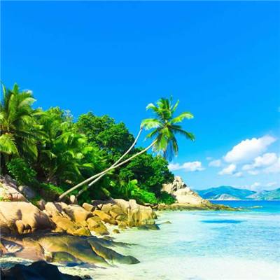 大众彩票app最新版下载