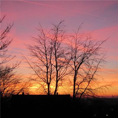 江南网页入口官方正版