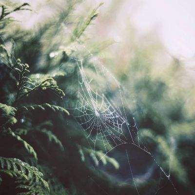 爱游戏全站官方网站入口