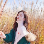 万博全站(Manbetx)官方网站